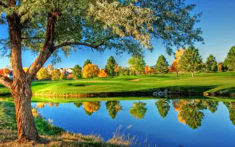 鲿1.97ԪοѵԱϵԱϸɲ